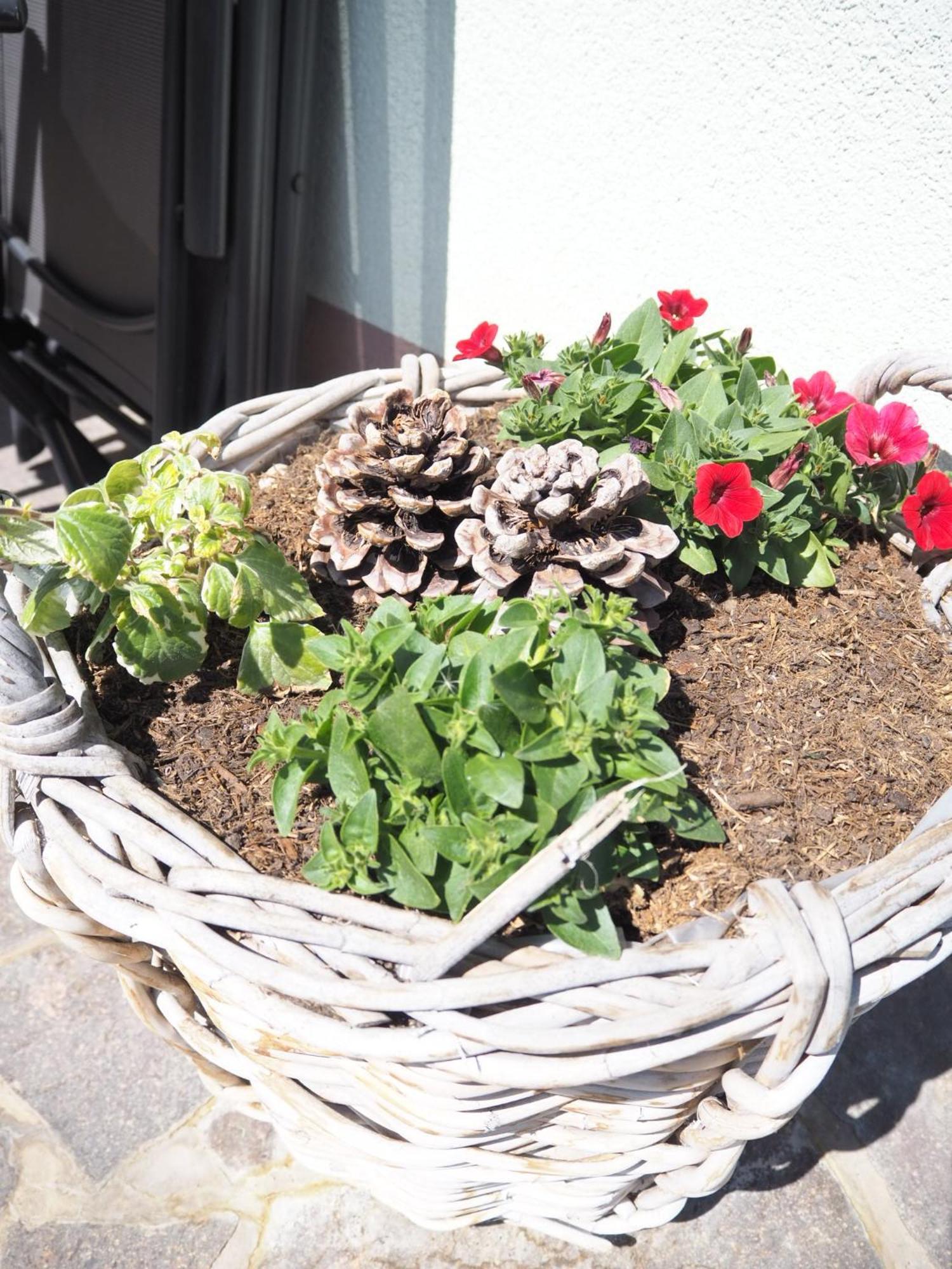 Appartement Felsenheim Westendorf Exterior foto